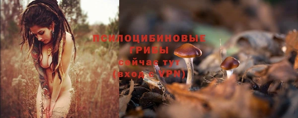 дурь Мегион