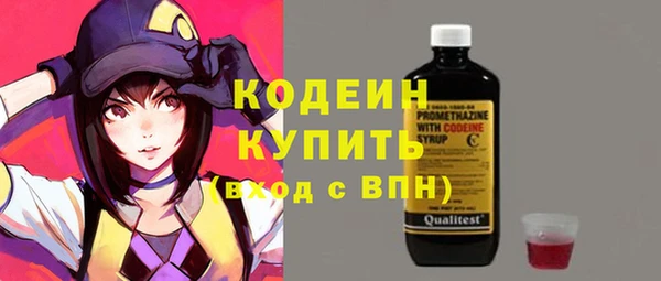 хмурый Снежногорск