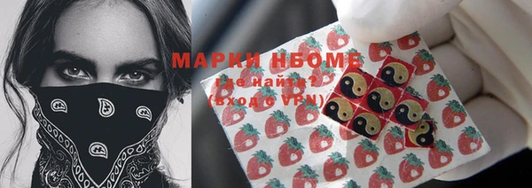 гашик Медногорск